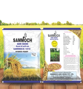 HYBRID PADDY (SAMMOCH-1010)