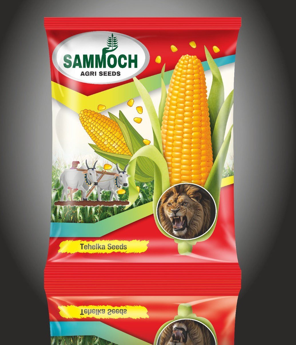 Sammoch Seeds - Tehelka