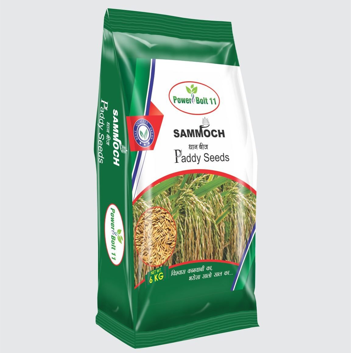 sammoch paddy seeds BOLT 11