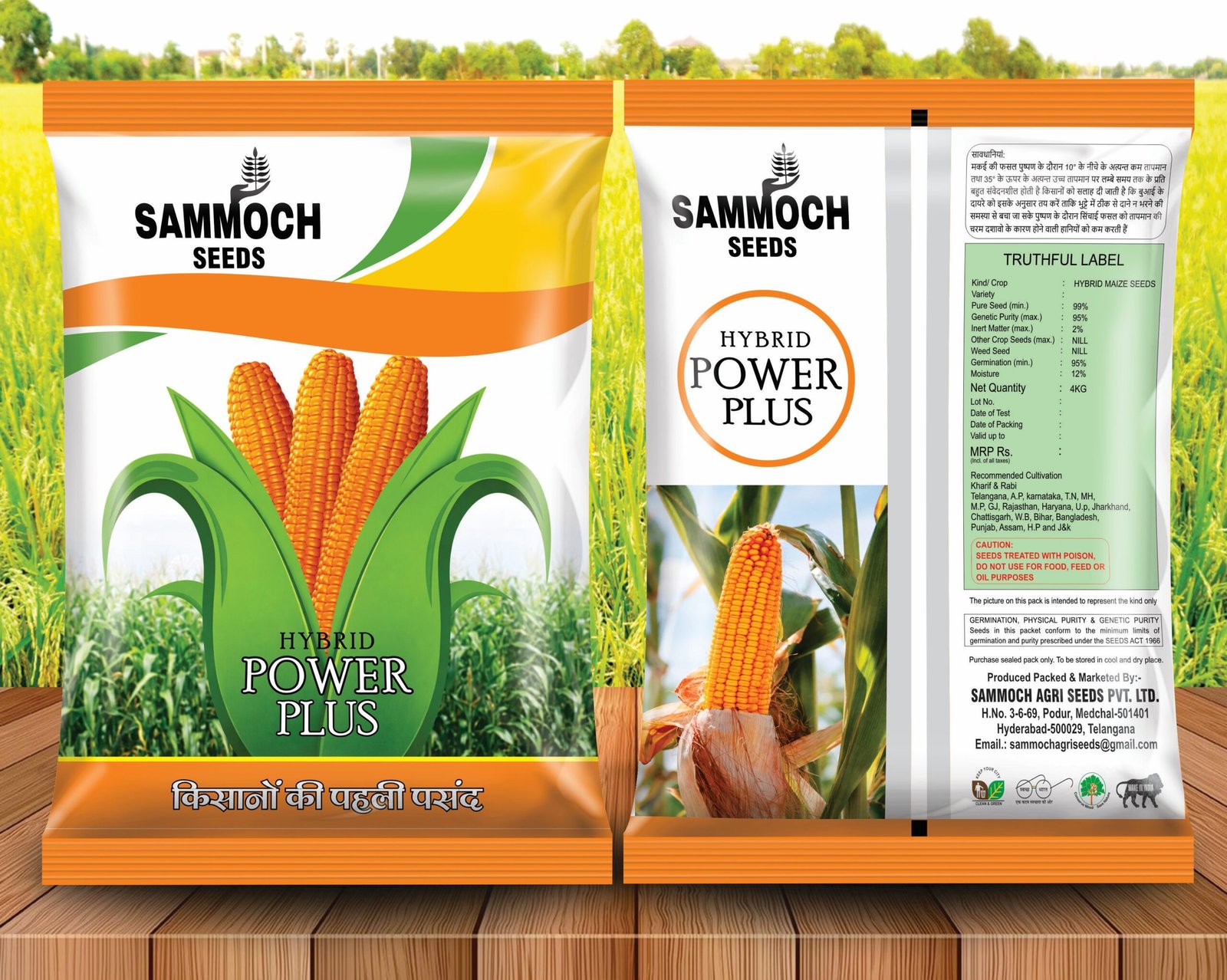 sammoch paddy seeds FINAL JOB 4